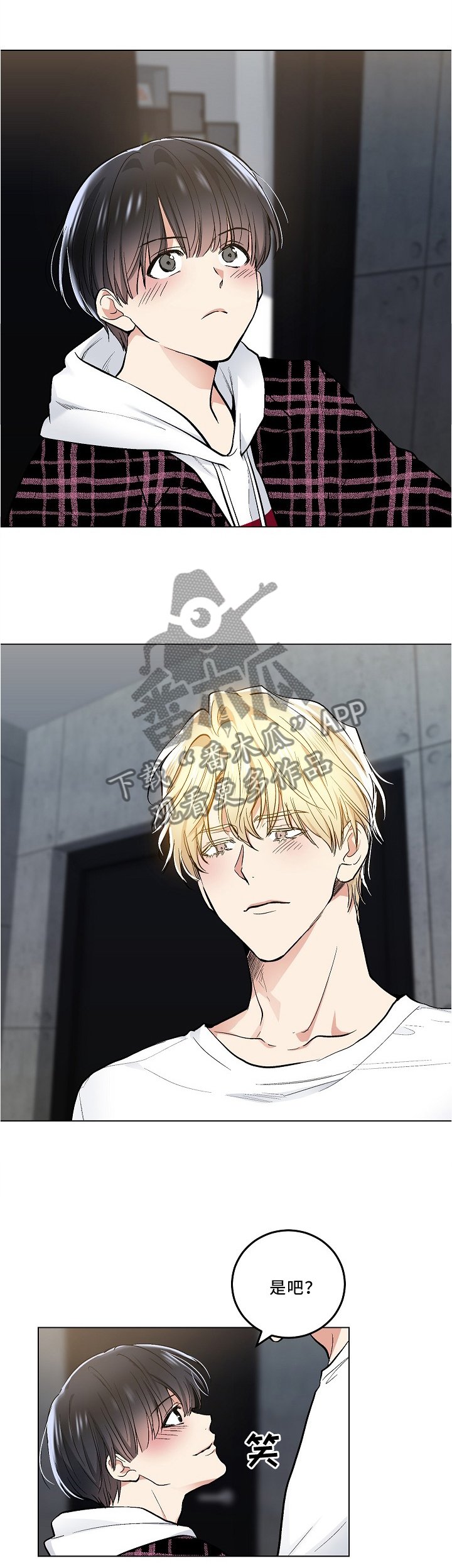第87章：什么都有