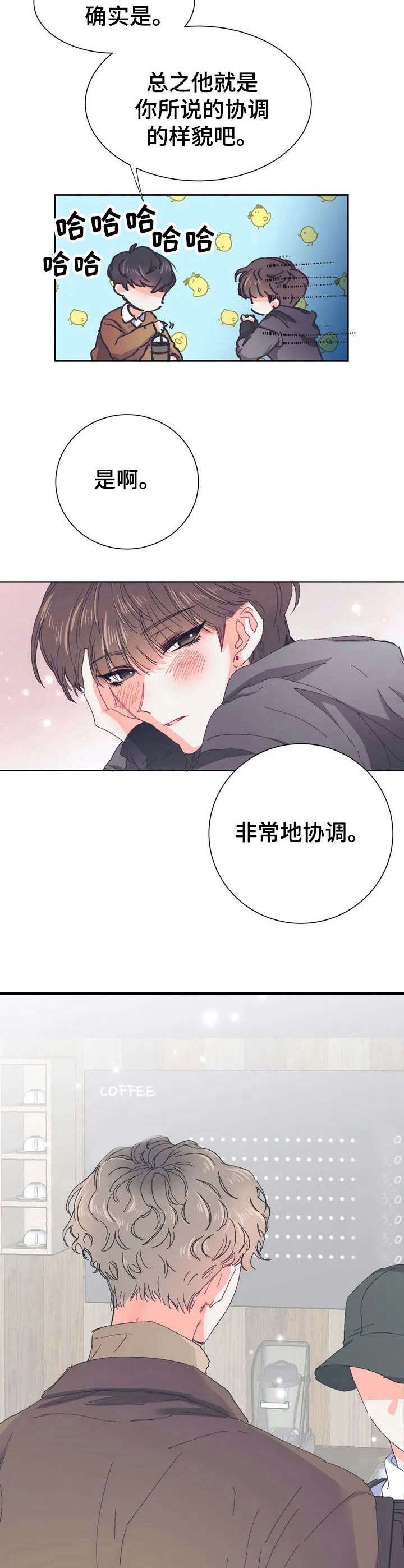 第26章：协调美