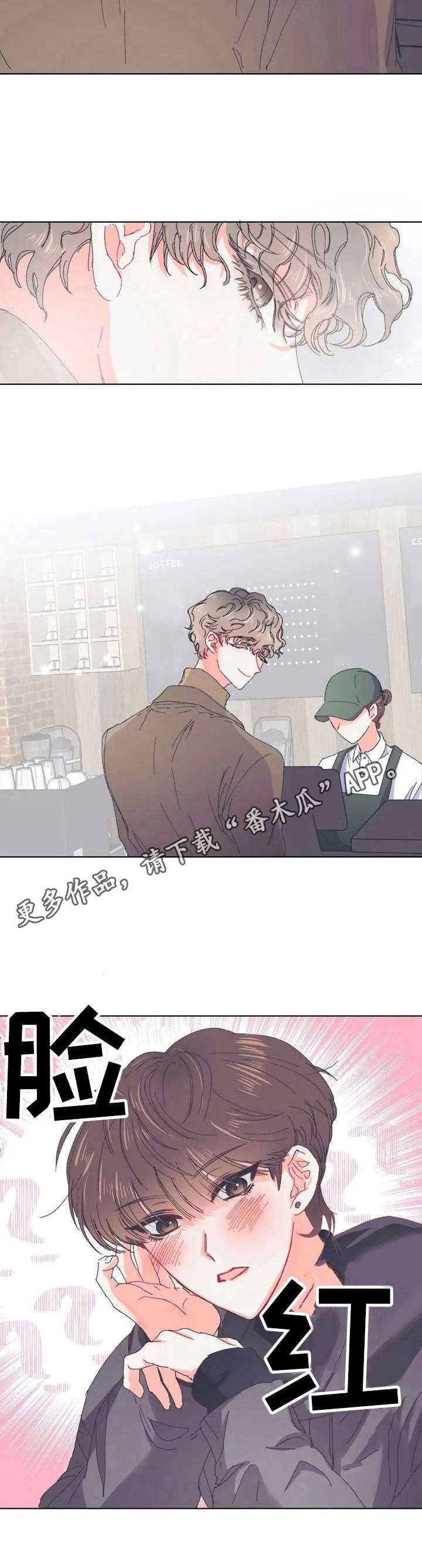 第26章：协调美