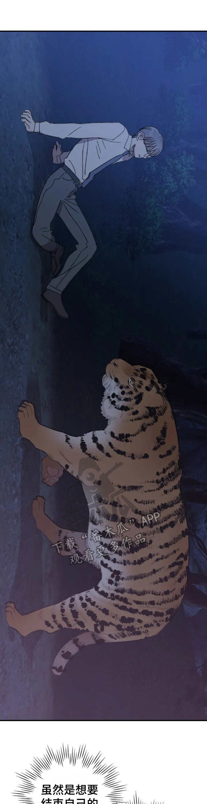 第32章：牙医