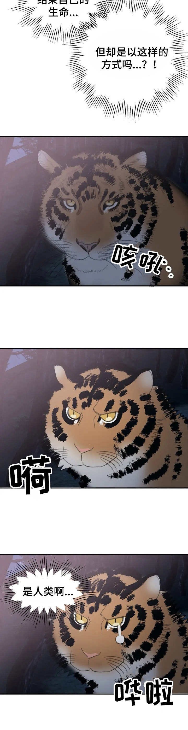 第32章：牙医