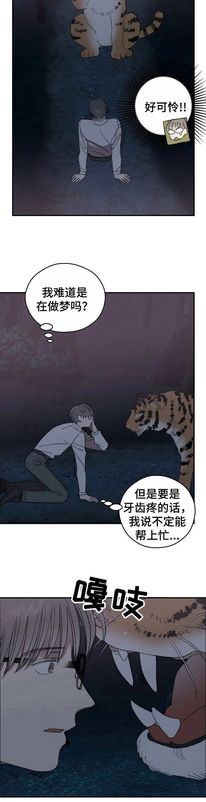 第32章：牙医