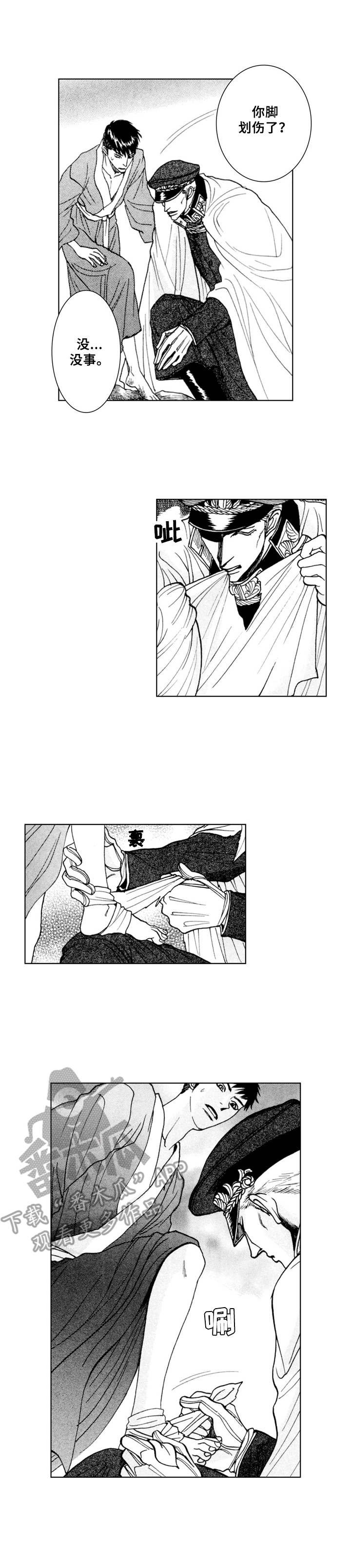 第15章：不遗憾
