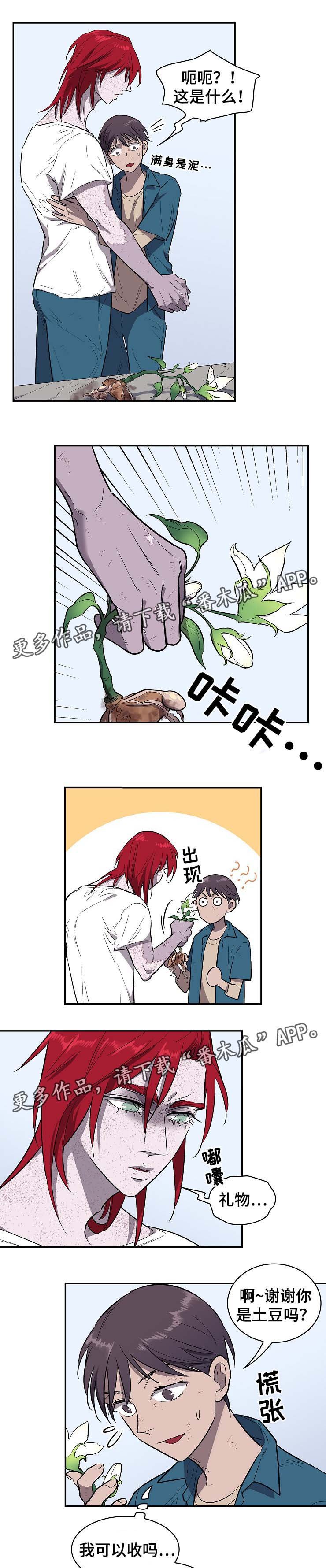 第34章：莱奥的回忆