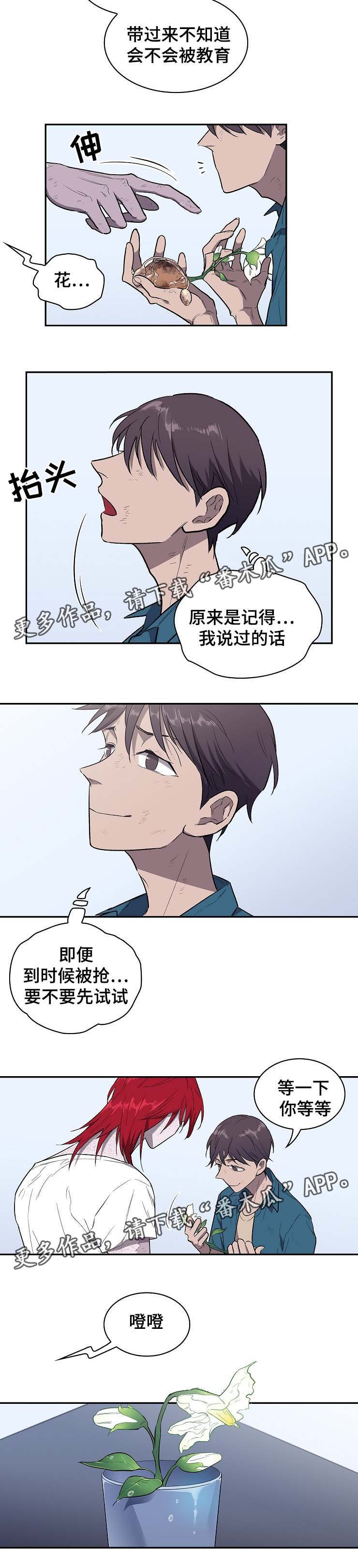 第34章：莱奥的回忆