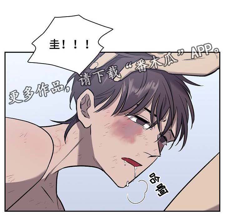 第52章：把雷奥叫来