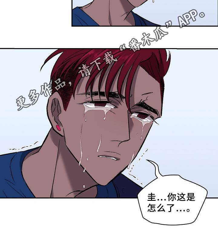 第53章：感受一切