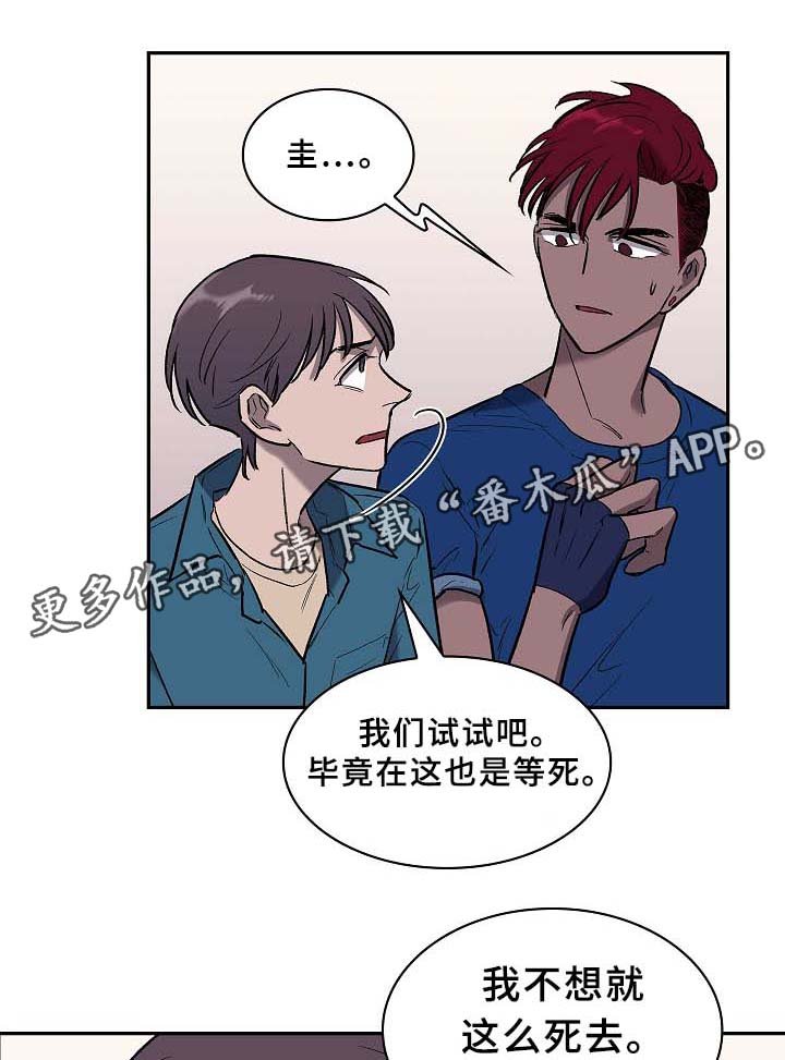 第62章：还有希望(完结)