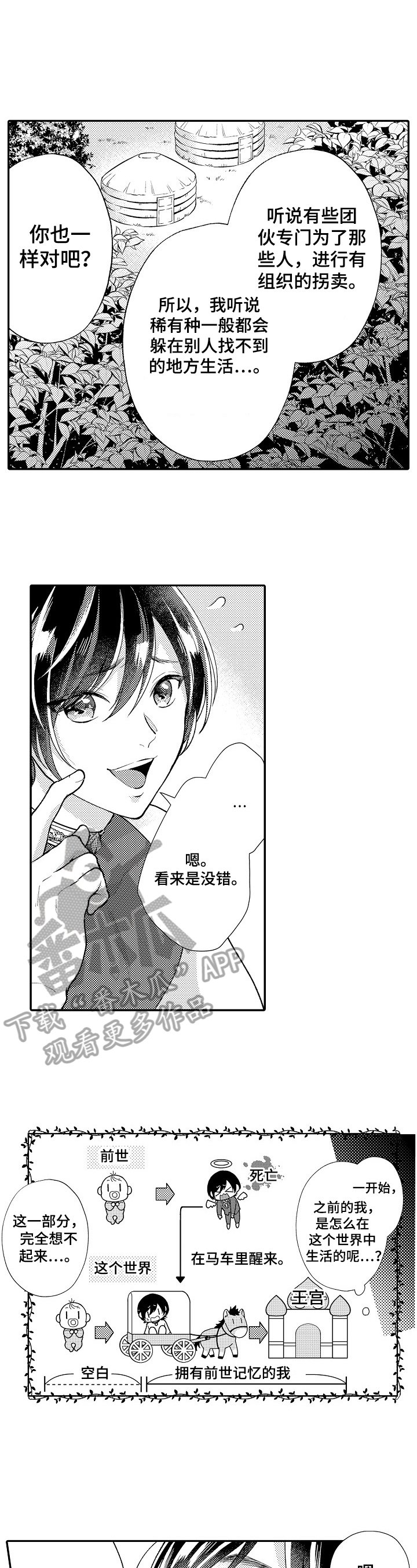 第13章：发现