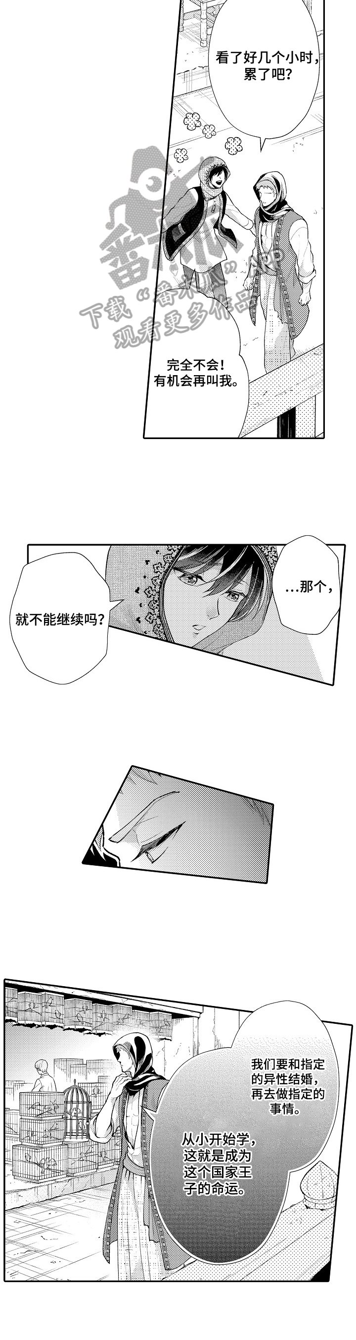 第15章：理解