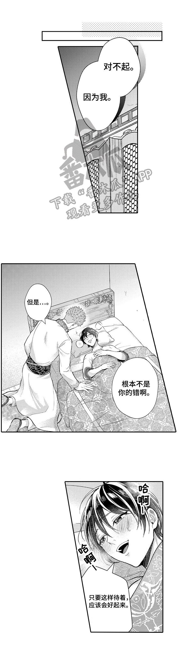 第19章：建议