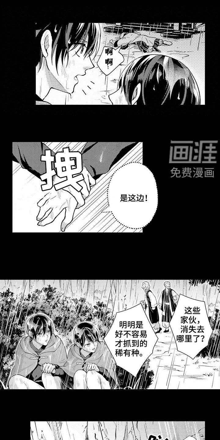 第33章：噩梦