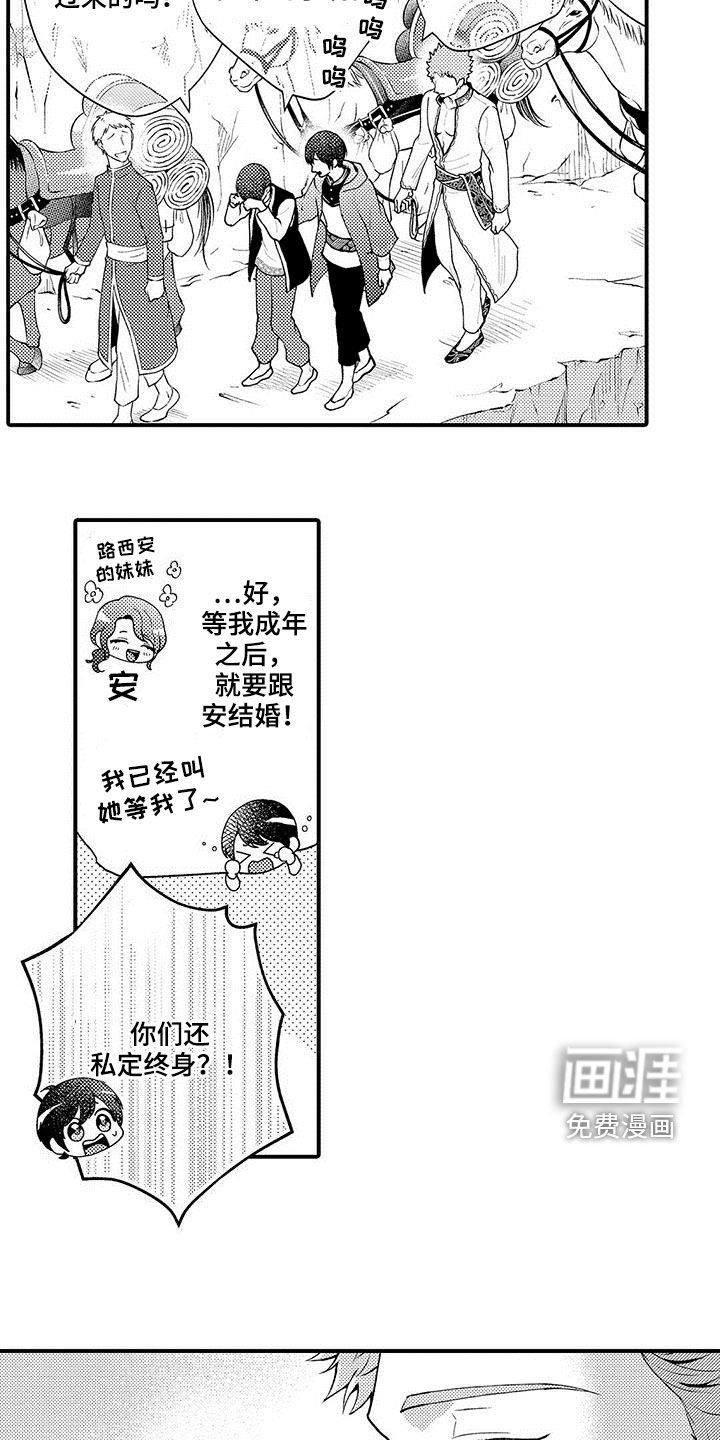 第43章：私定终身