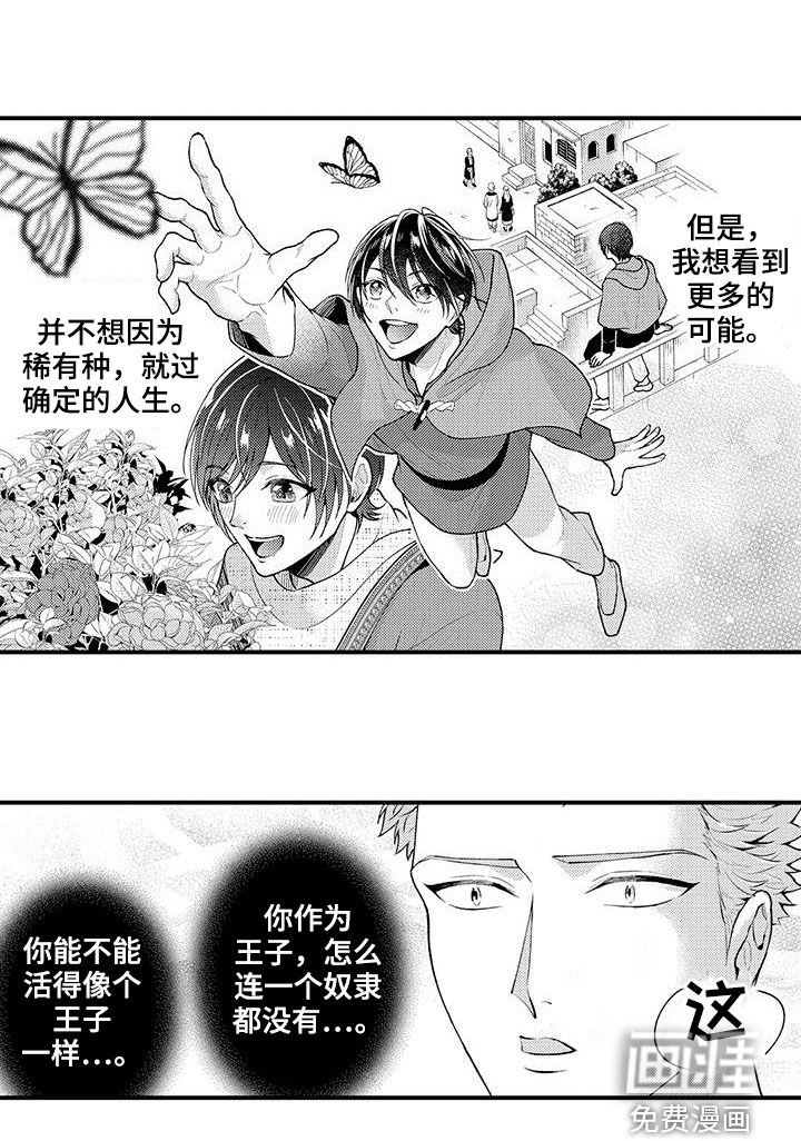 第43章：私定终身
