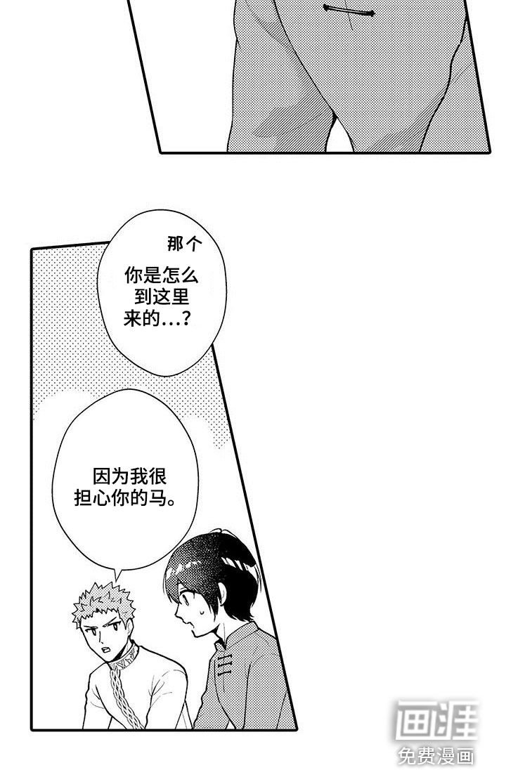 第48章：担心你的马