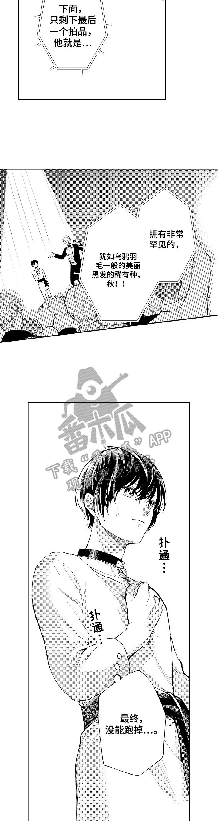 第5章：买下