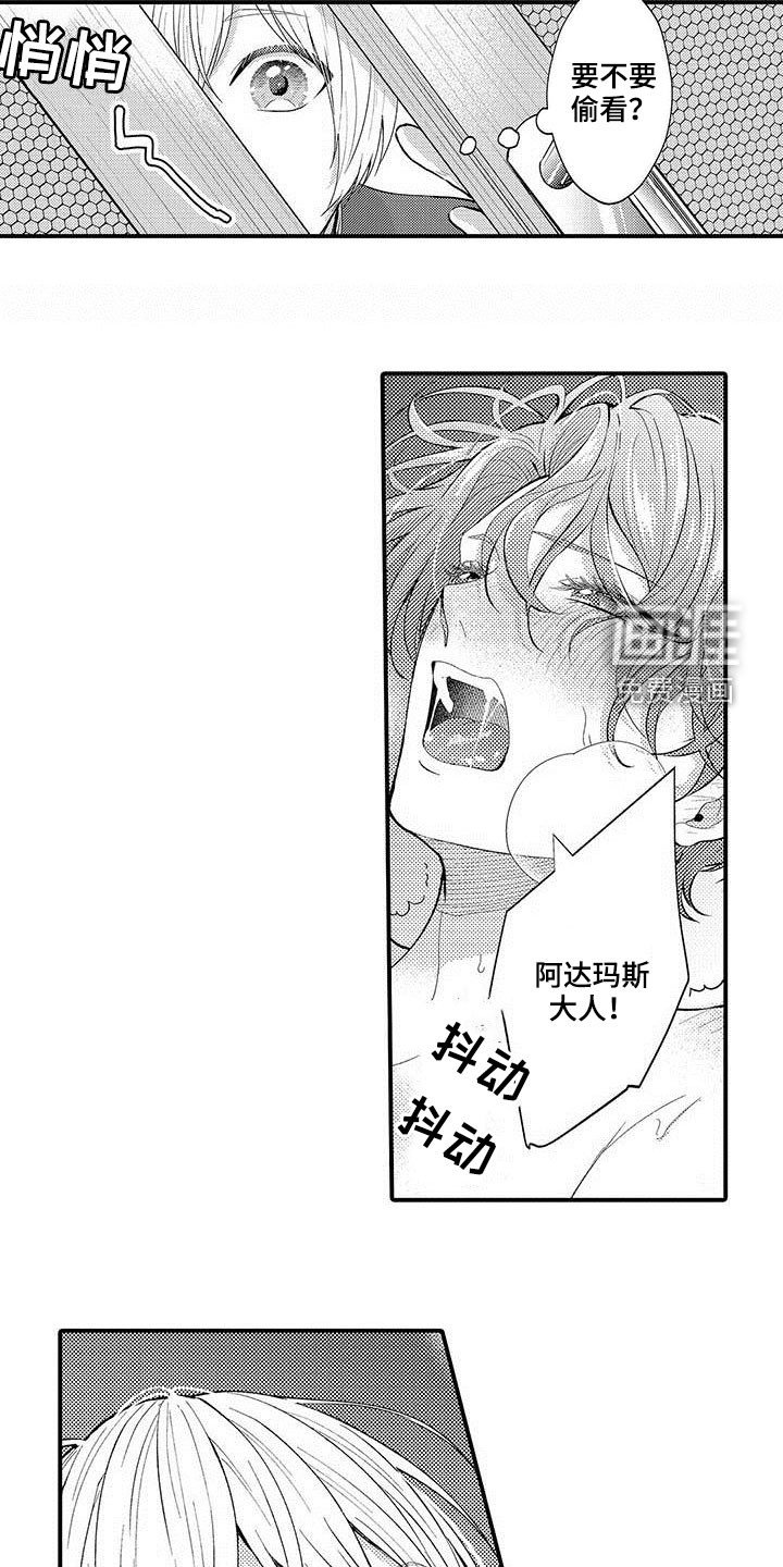 第55章：很特别