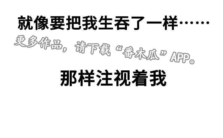 第15章：阴谋