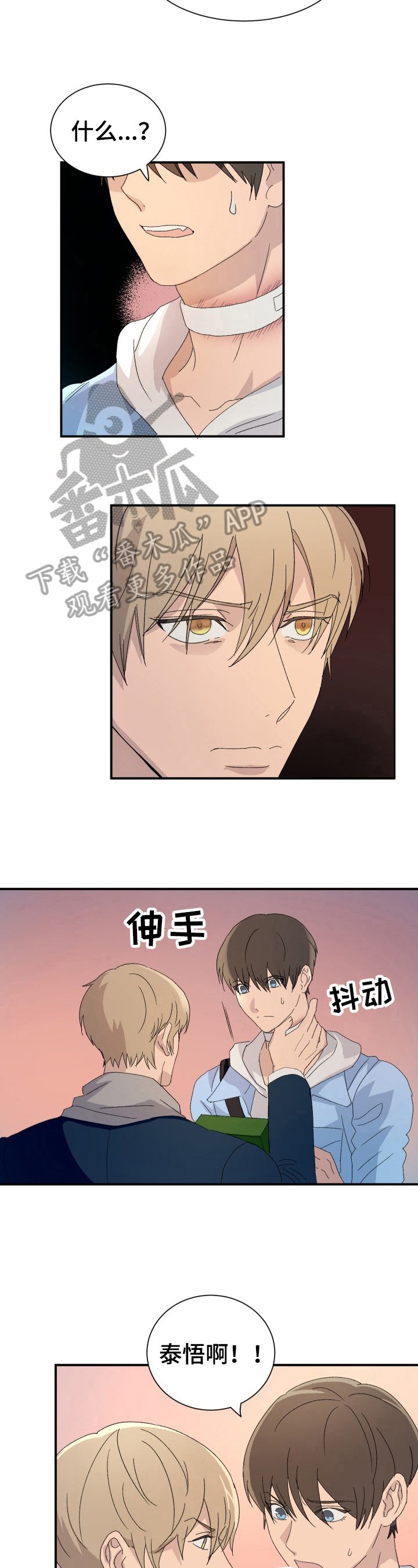 第17章：谋划