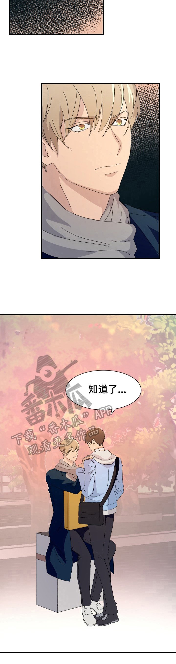 第17章：谋划