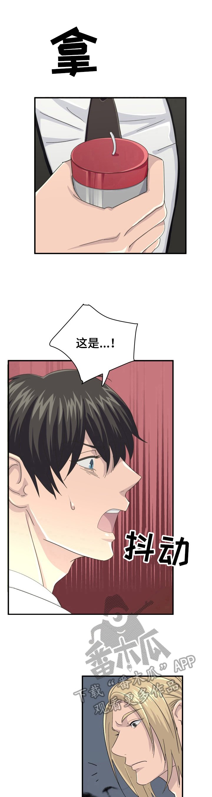 第29章：特殊香草
