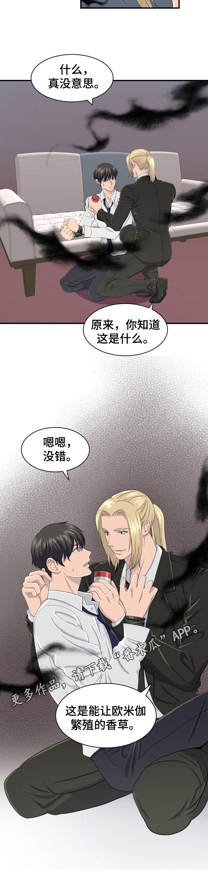 第29章：特殊香草