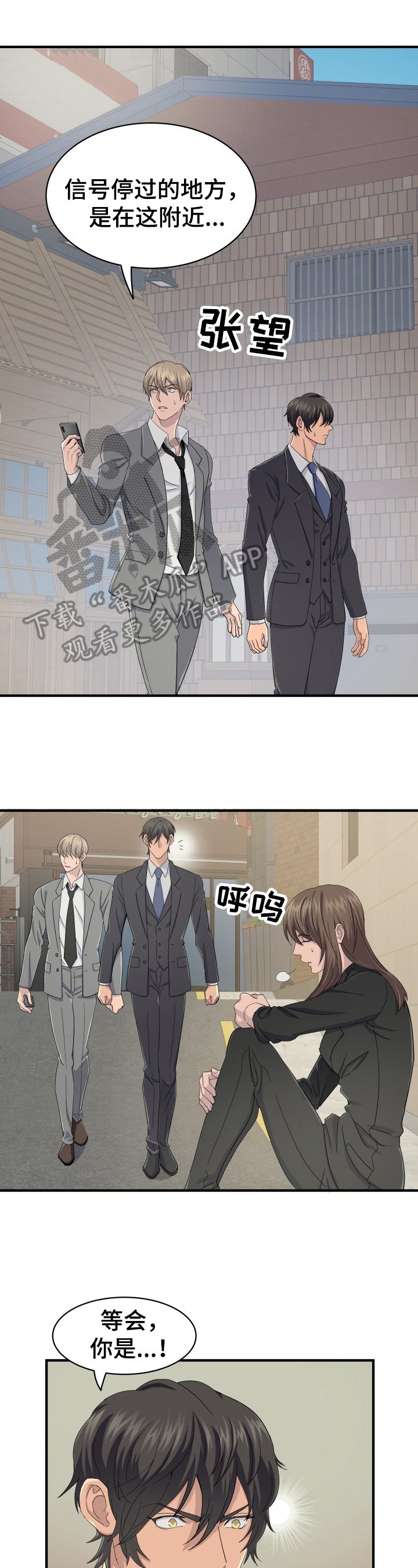 第29章：特殊香草