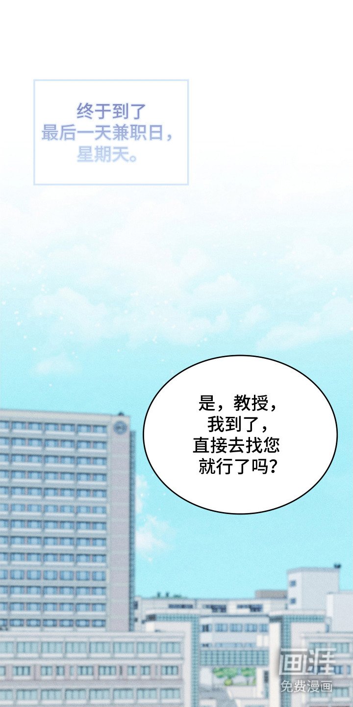 第17章：双胞胎明星