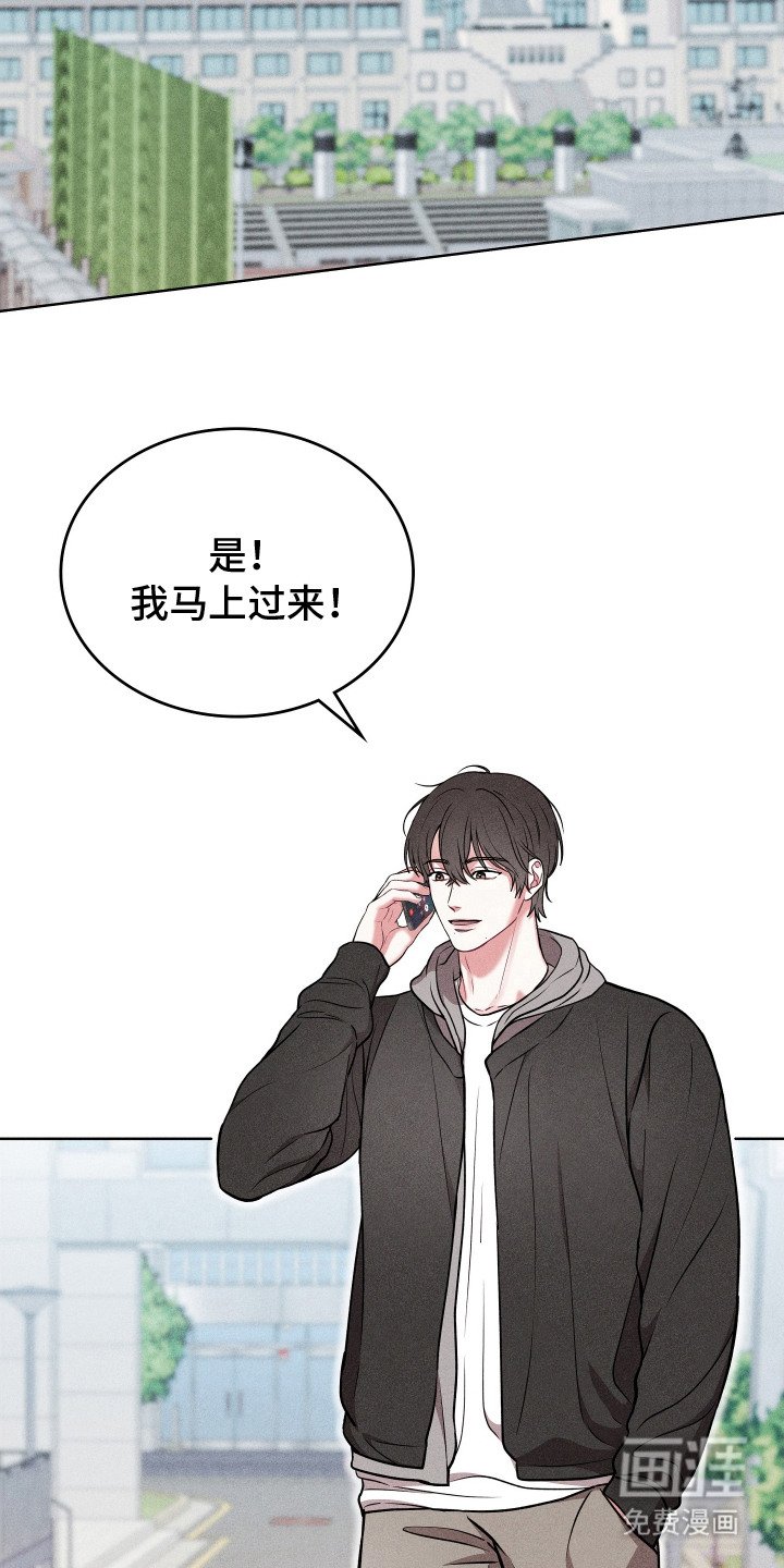 第17章：双胞胎明星