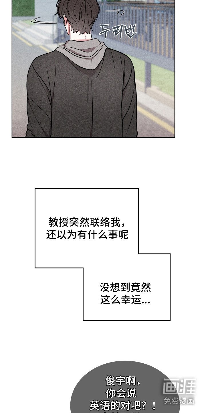 第17章：双胞胎明星
