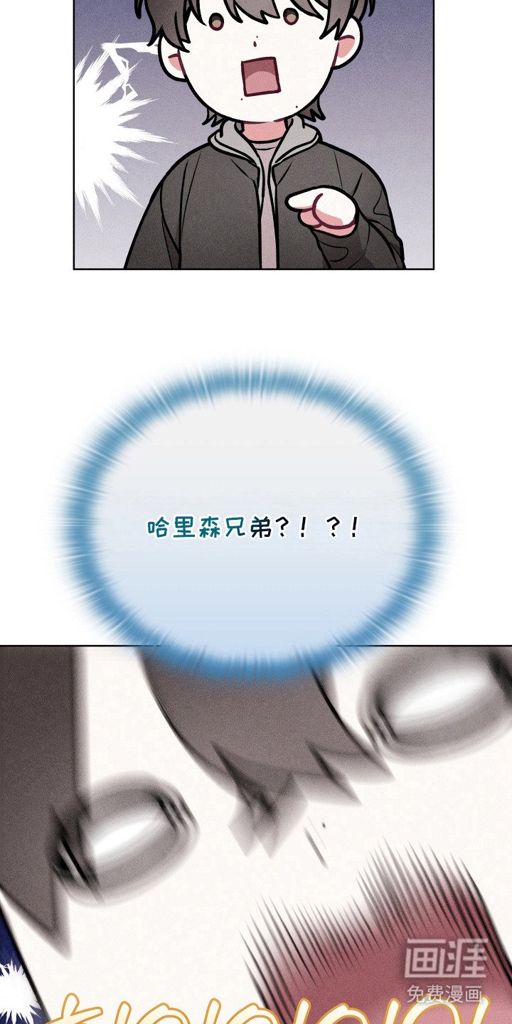 第17章：双胞胎明星