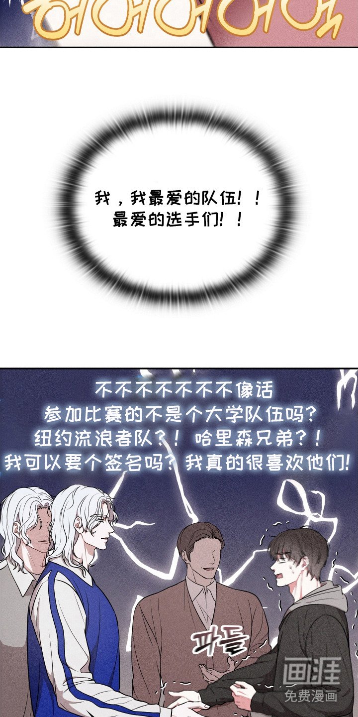 第17章：双胞胎明星
