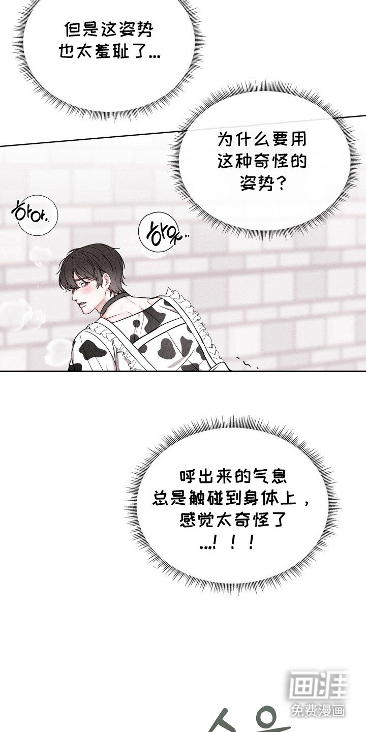 第3章：画个心