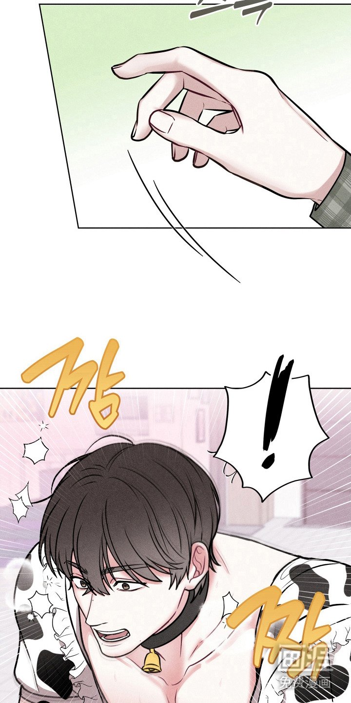第3章：画个心