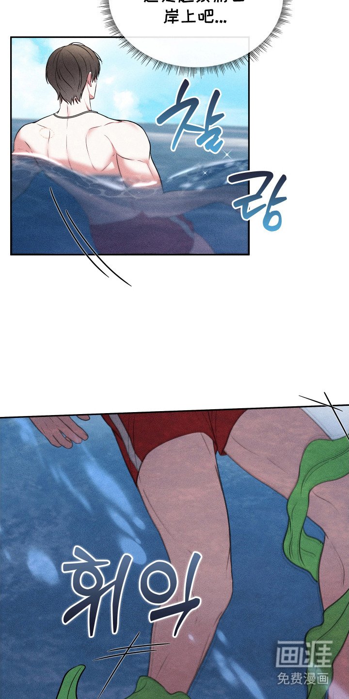第9章：水草