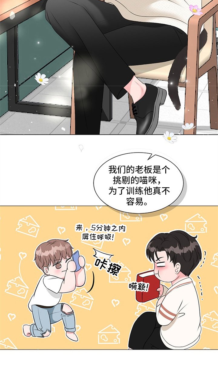 第11章：惊喜