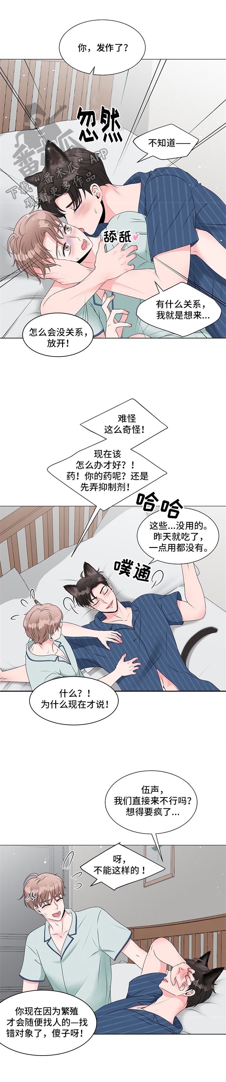 第17章：搭档职责