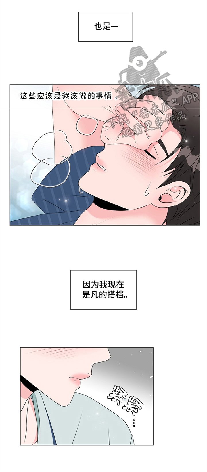 第17章：搭档职责