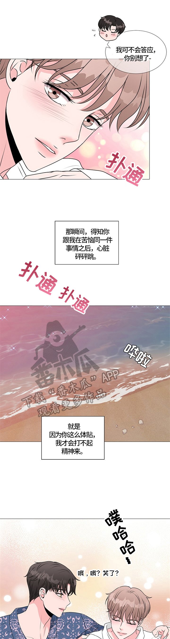 第25章：猫咪丢失
