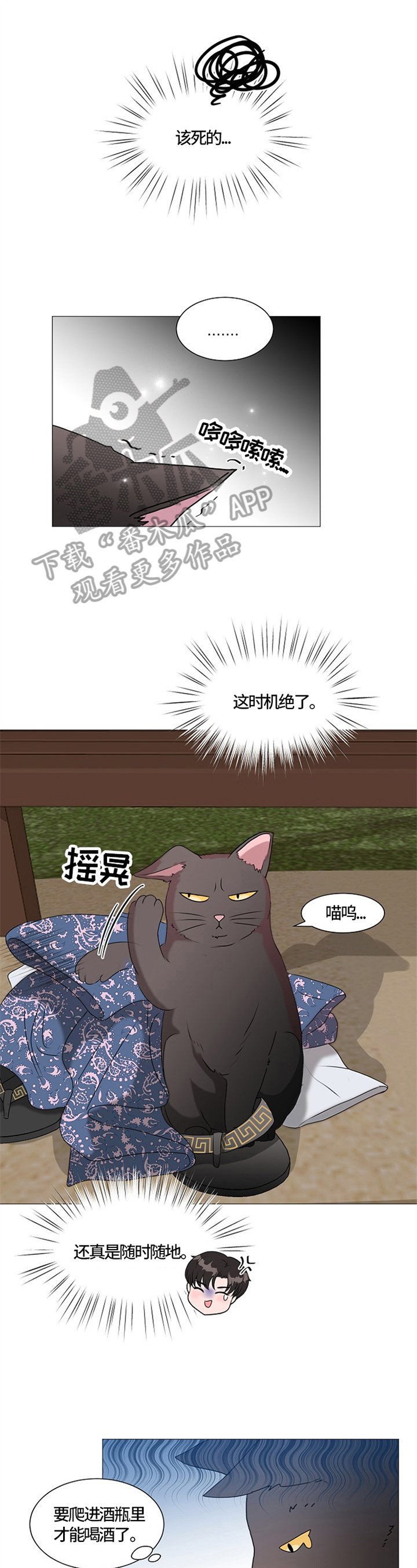 第25章：猫咪丢失