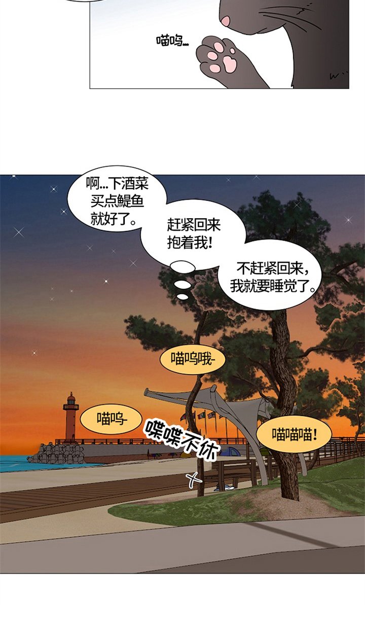 第25章：猫咪丢失