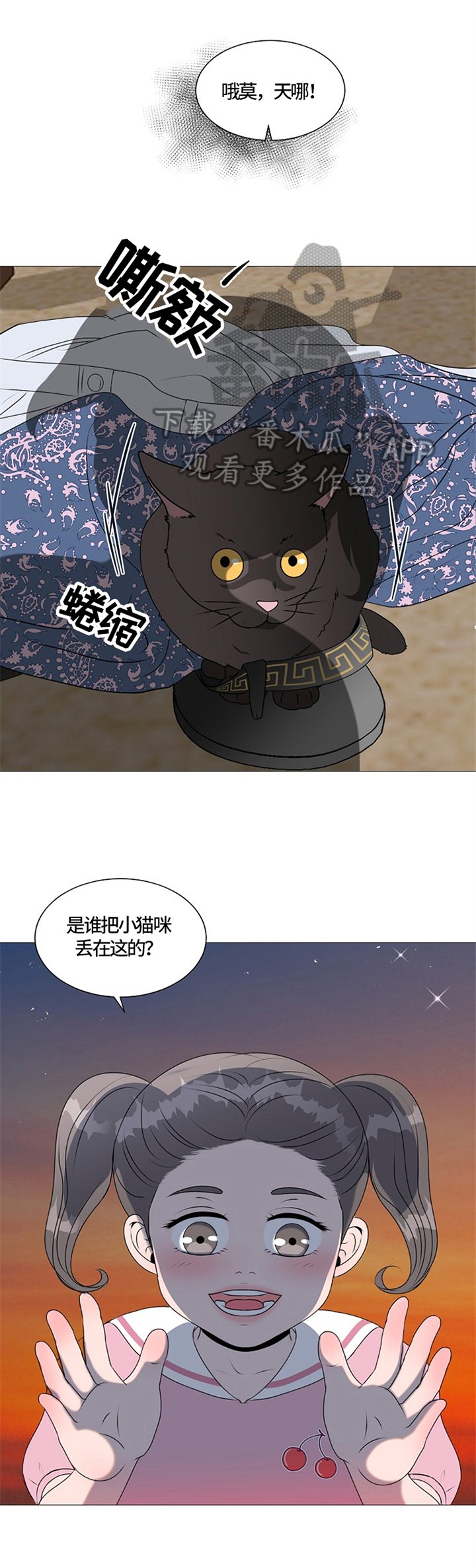 第25章：猫咪丢失