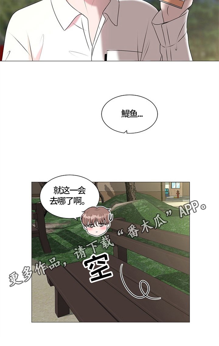 第25章：猫咪丢失