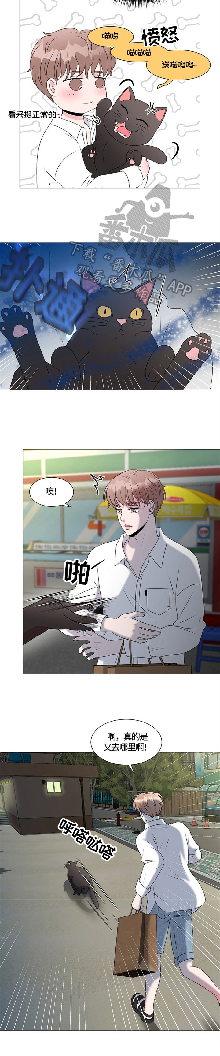 第28章：适可而止