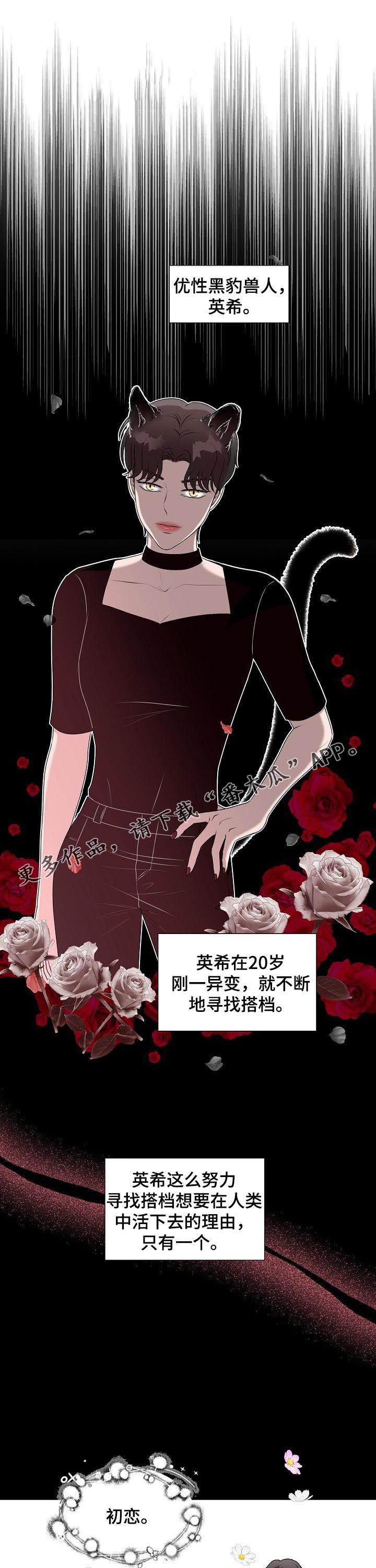 第32章：收到求婚