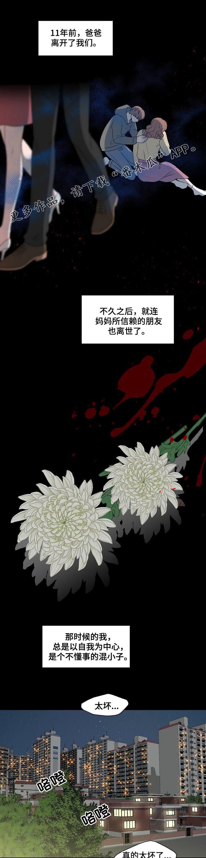 第33章：只是搭档