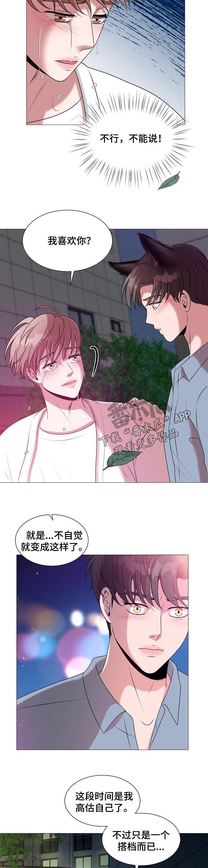第39章：爱情