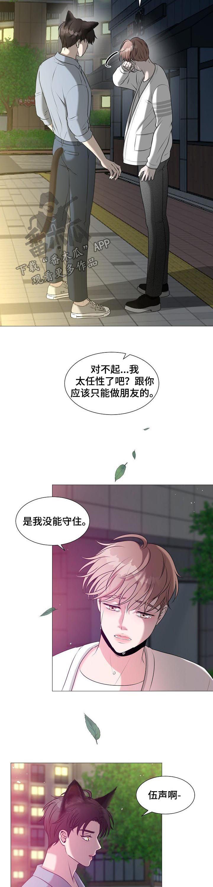 第39章：爱情
