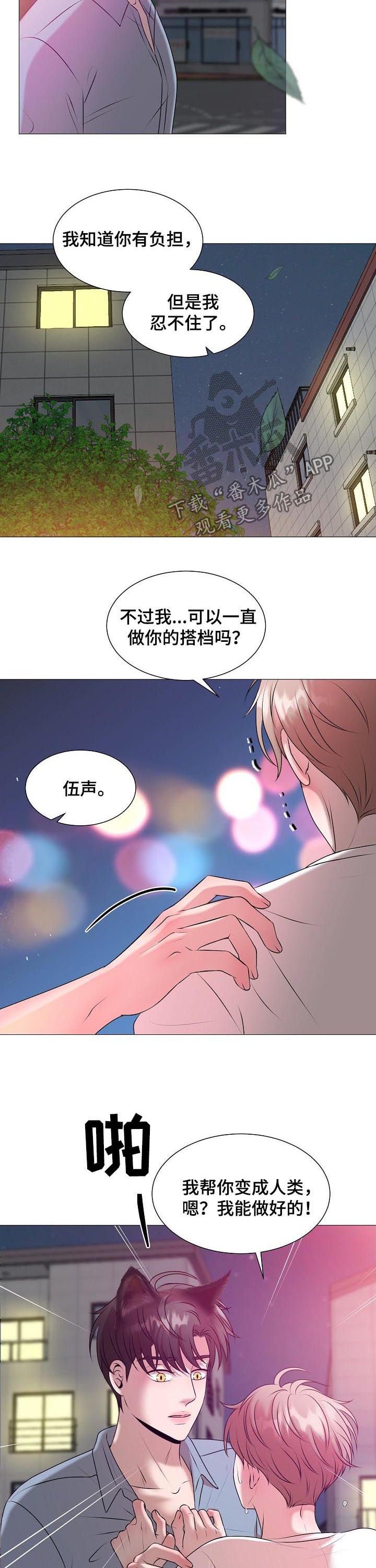第39章：爱情