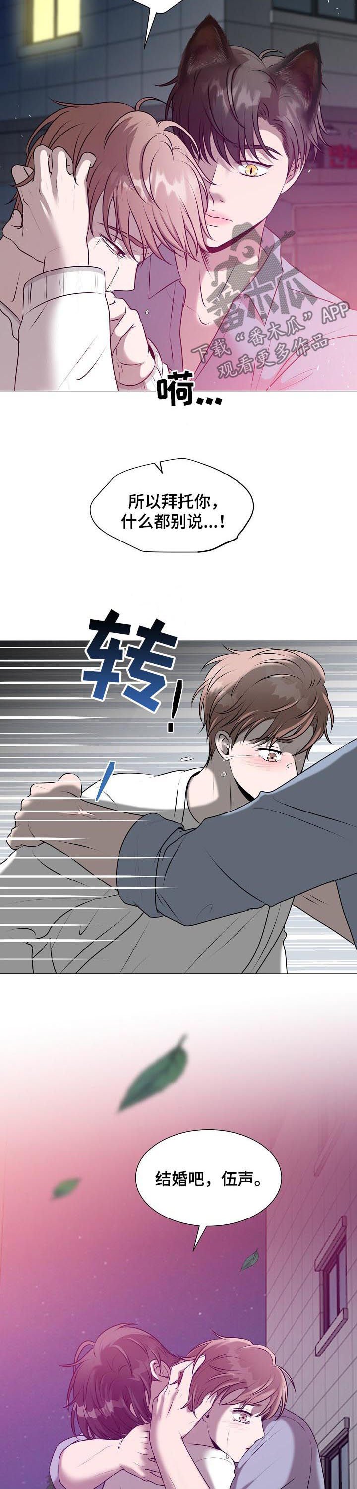 第39章：爱情